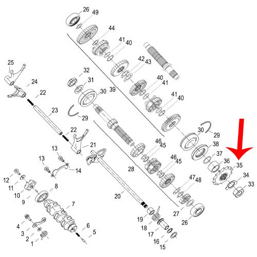 Piñon (302S / LEONCINO500 / TRK502X / TNT600)
