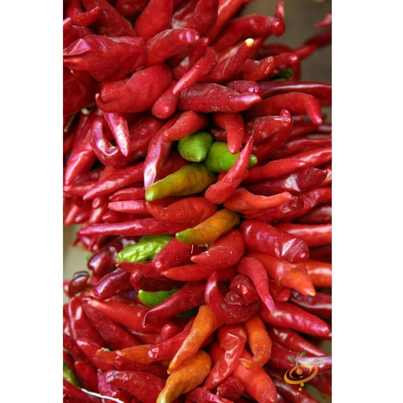 Semillas de aji (HOT), Santa Fe Grande (100% Heirloom / No híbrido / No GMO). 10 semillas aprox.