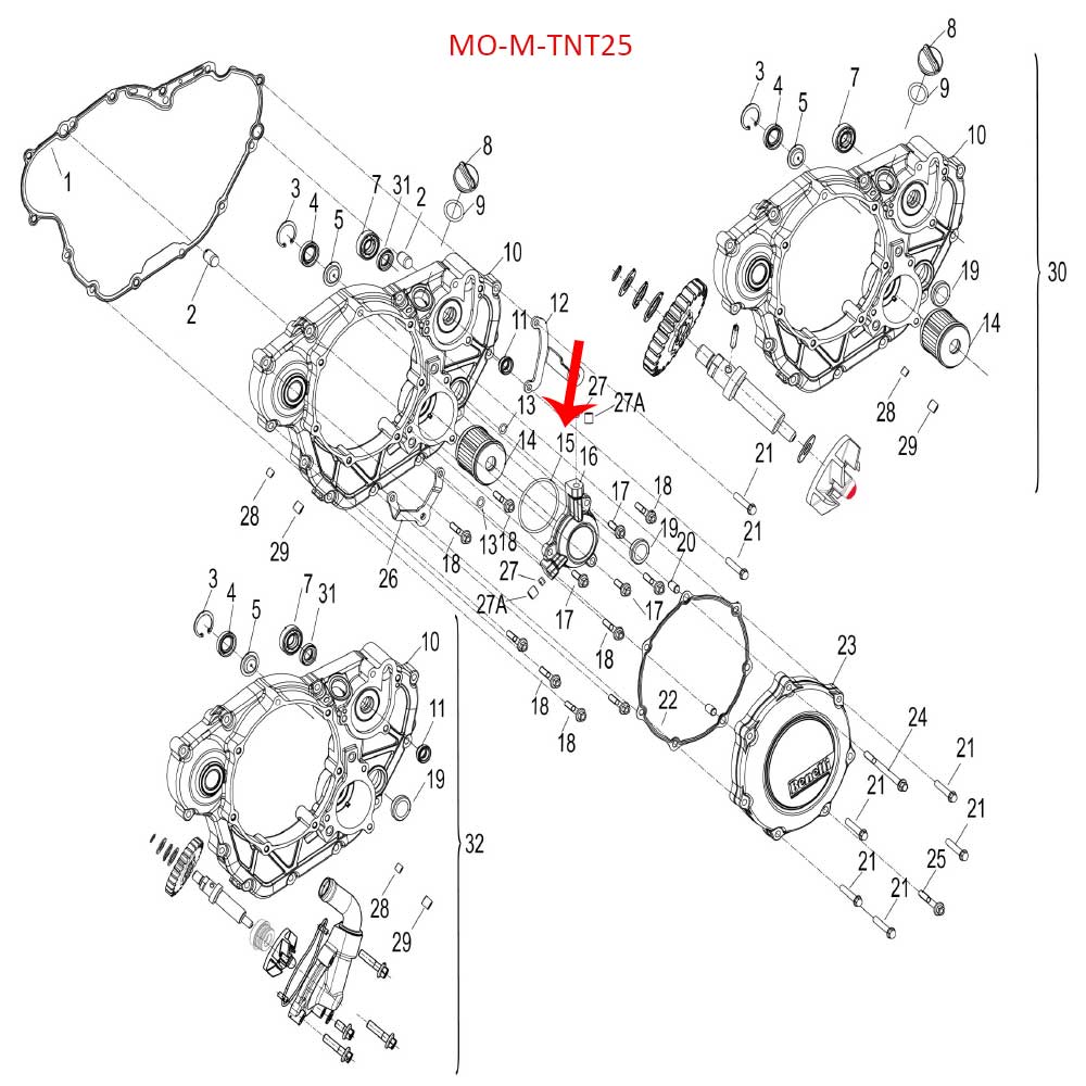 O Ring (LEONCINO250 / TNT25 / TRK251)
