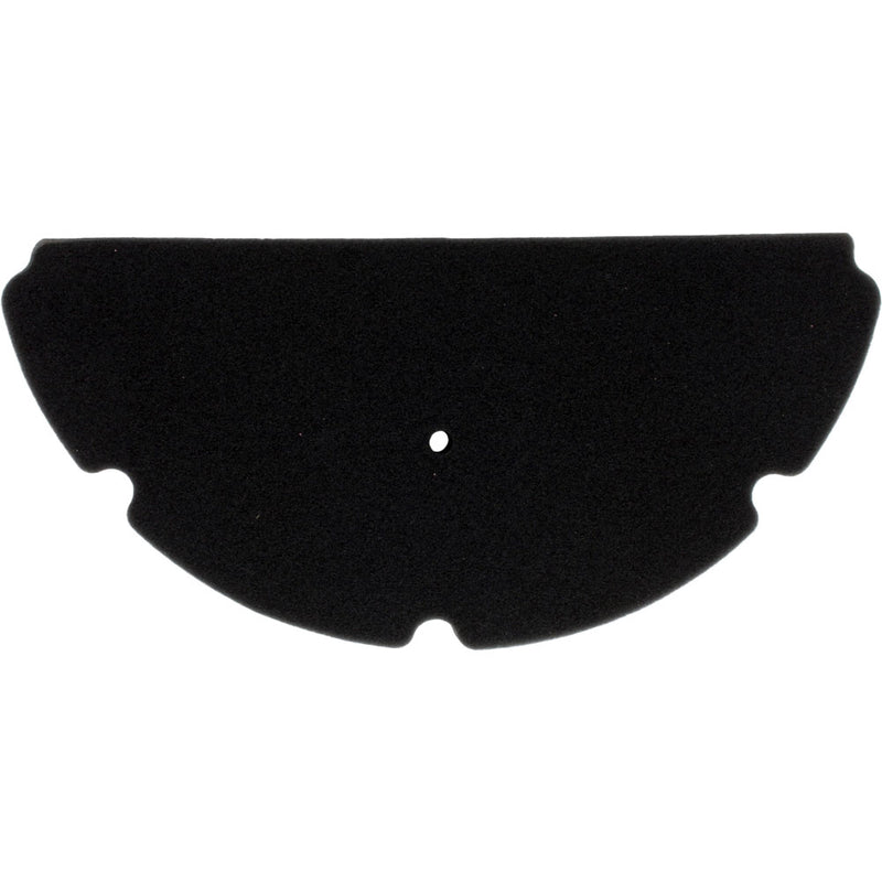 Filtro de aire (TNT600)