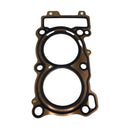 Empacadura de la culata (LEONCINO500 / TRK502X)