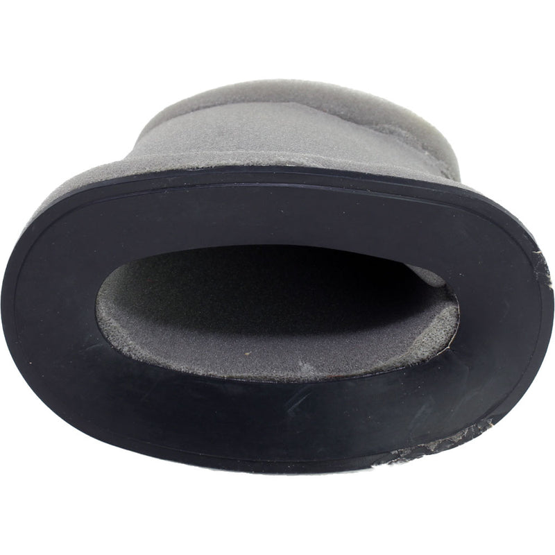 Filtro de aire (LEONCINO250 / TNT25 / TRK251)